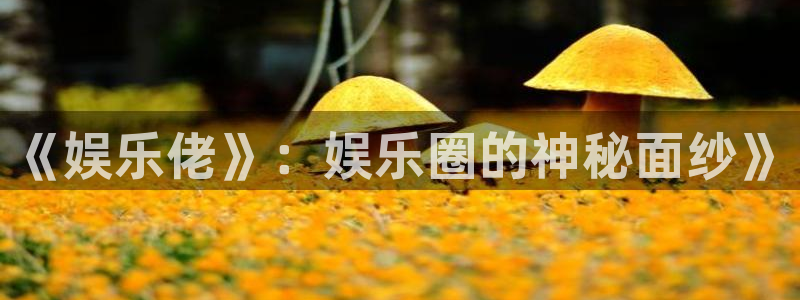 优游国际官网客服电话