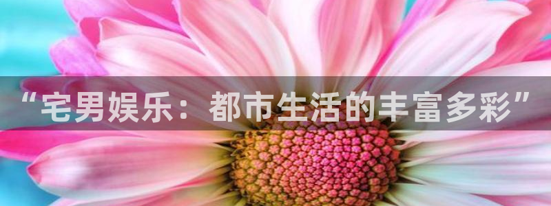 优游国际官网下载