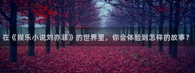 优游国际官网下载