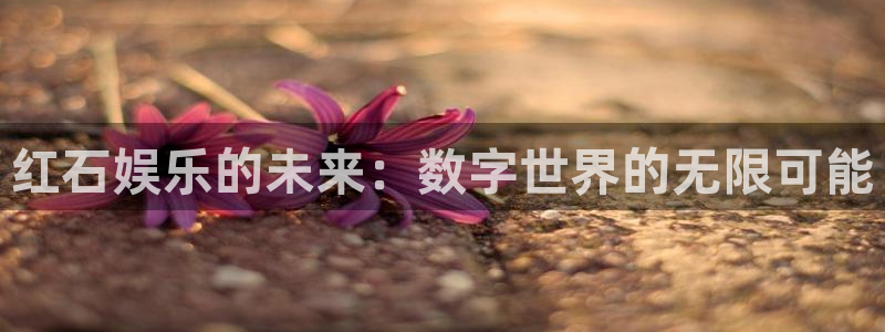 优游国际官网