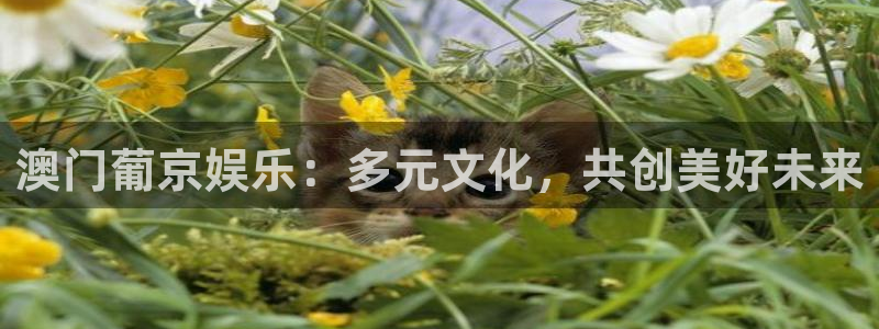 优游国际官网