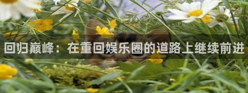 优游国际官网下载