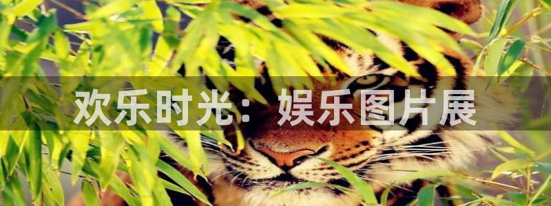 优游国际官网首页