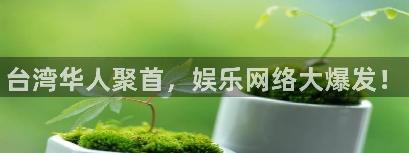 优游国际官网首页